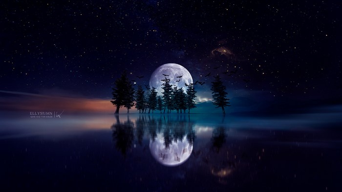 Moonlit Trees Reflected on Calm Water