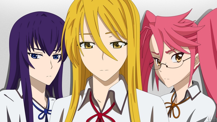 Saeko Busujima, Shizuka Marikawa, and Saya Takagi from Highschool Of The Dead