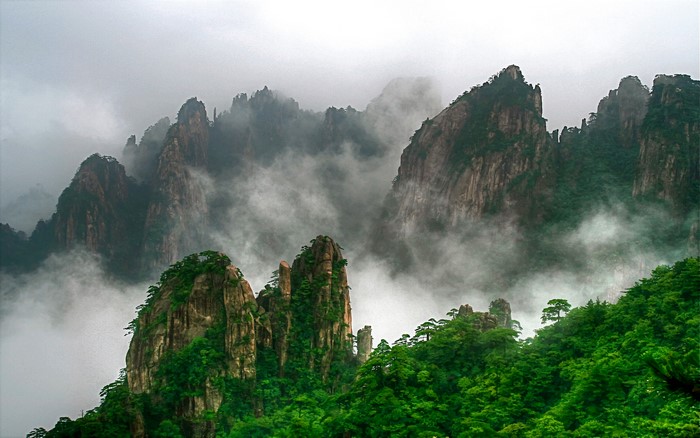 Misty Mountains with Pine Trees in China