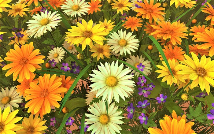 Field of colorful daisies and gerbera flowers