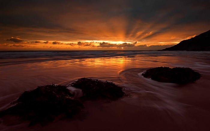 Sunset over the ocean with seaweed on the beach