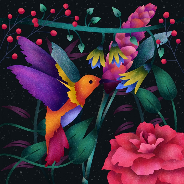Colorful hummingbird feeding on a flower