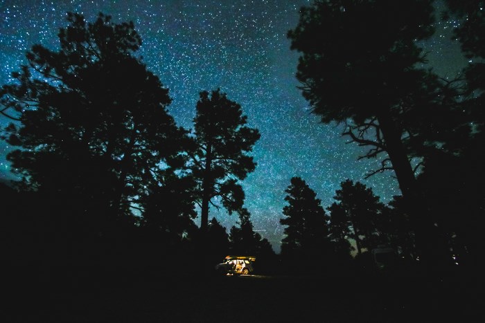 Car camping under a starry night sky in a forest