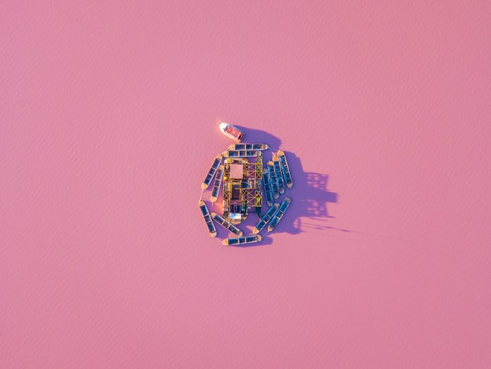 Aerial view of boats arranged in a circle on a pink lake