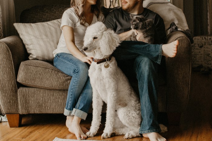 Couple with dog and cat on couch