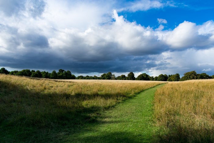 Path through a grassy field under a cloudy sky