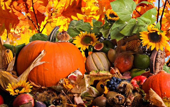 Autumn harvest display with pumpkins, sunflowers, and fruits