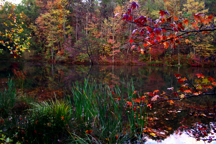Autumn forest reflected in a calm lake