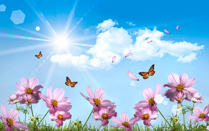 Summer Sky with Flowers and Butterflies