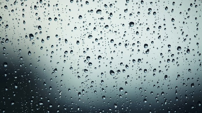 Raindrops on a window pane