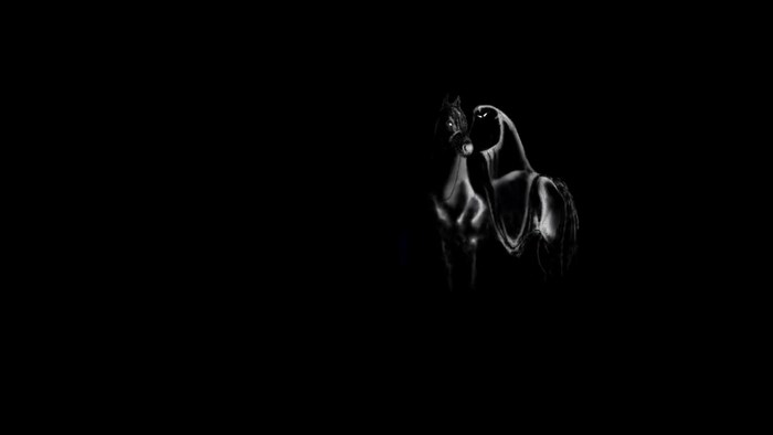 Horse with a rider in the dark