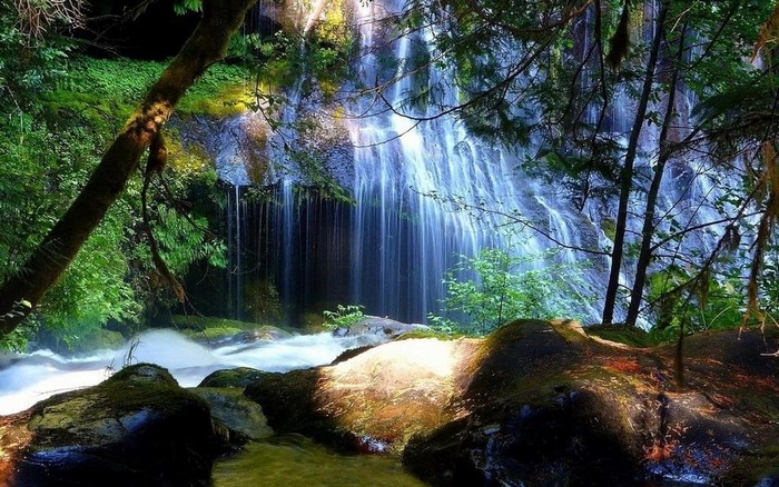 Waterfall in a forest