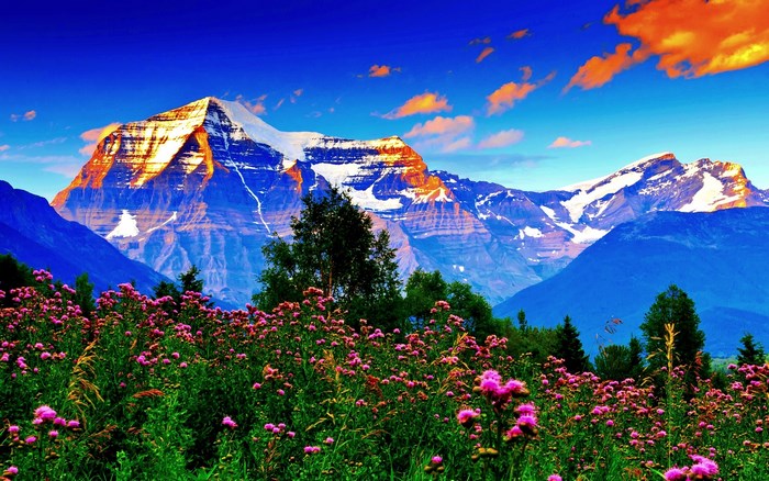 Mountain Landscape with Wildflowers