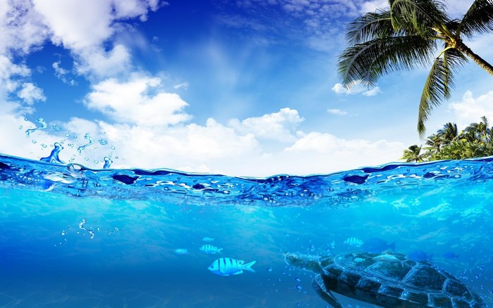 Underwater scene with turtle, fish, and palm tree island