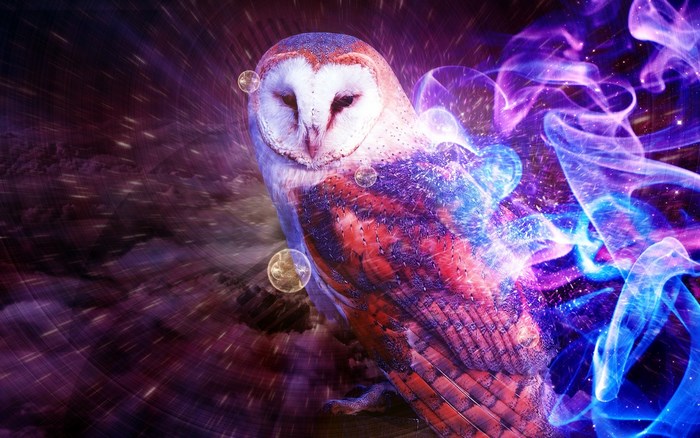 Barn owl with cosmic energy and bubbles