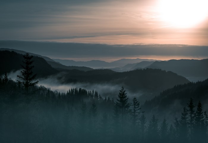 Misty mountains and forest at sunrise