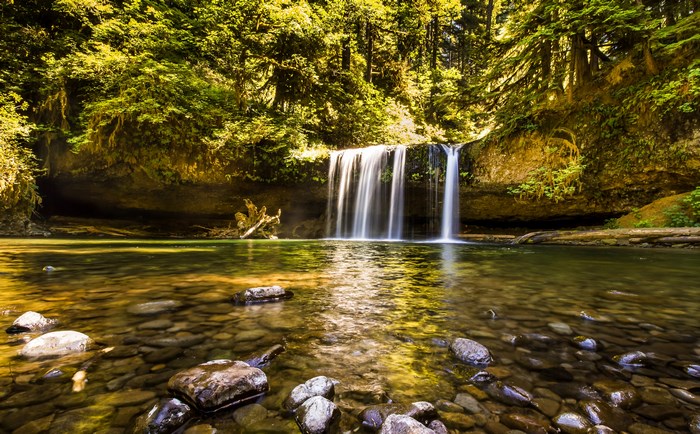 Waterfall in a lush green forest