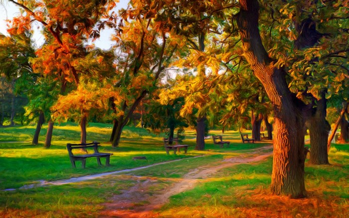Autumn park with benches and trees