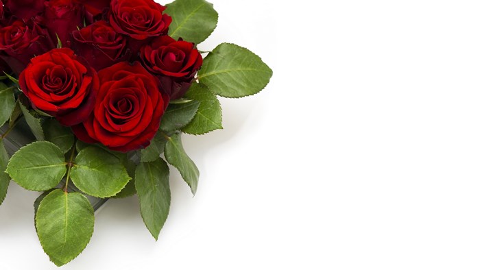 Bouquet of red roses with green leaves
