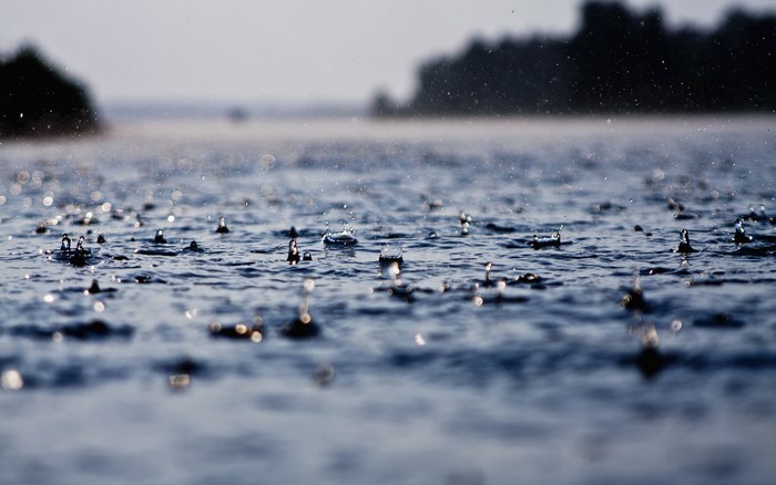 Raindrops falling on a body of water