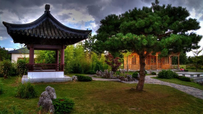 Gazebo and building in a garden with a pine tree
