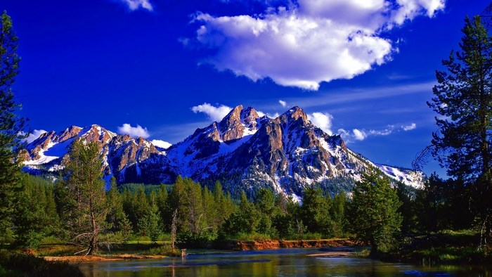 Snow-capped mountains and pine forest by river
