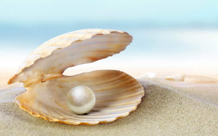Pearl in a Shell on a Sandy Beach