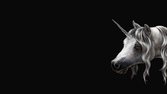 Unicorn with a horn on a black background