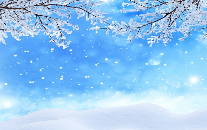 Winter branches with snow and blue sky