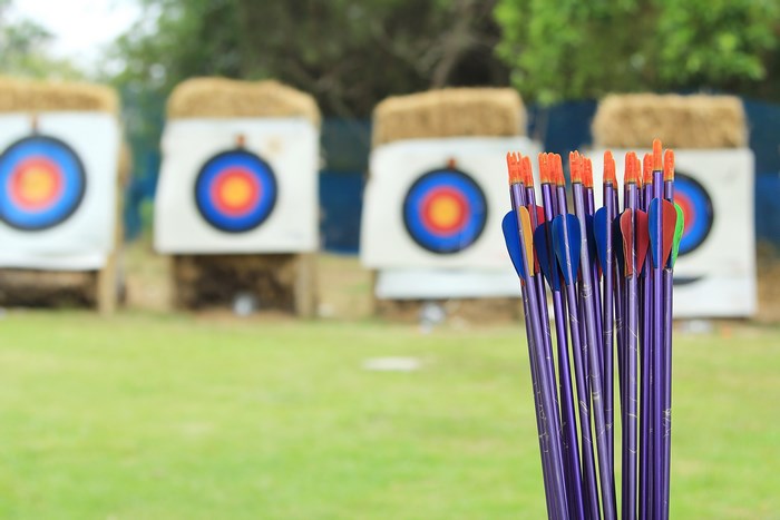 Archery targets and arrows on a field