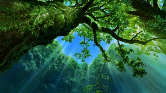 Princess Mononoke Forest Canopy