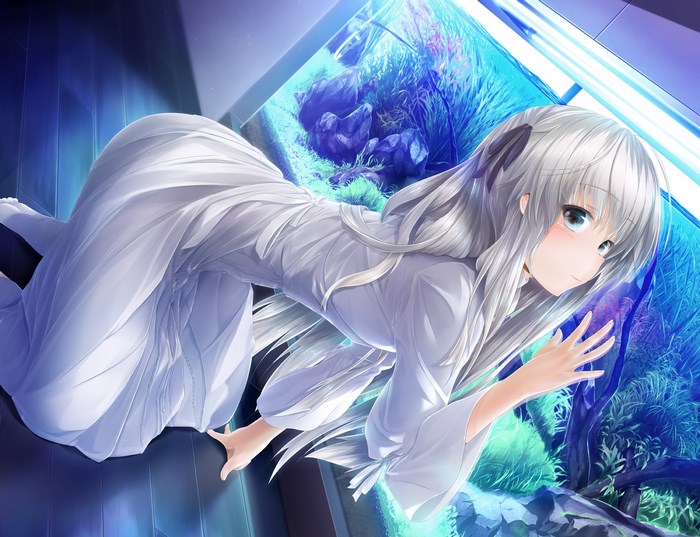 Sora Kasugano from Yosuga no Sora