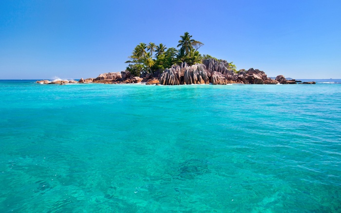 Tropical island with palm trees and turquoise water