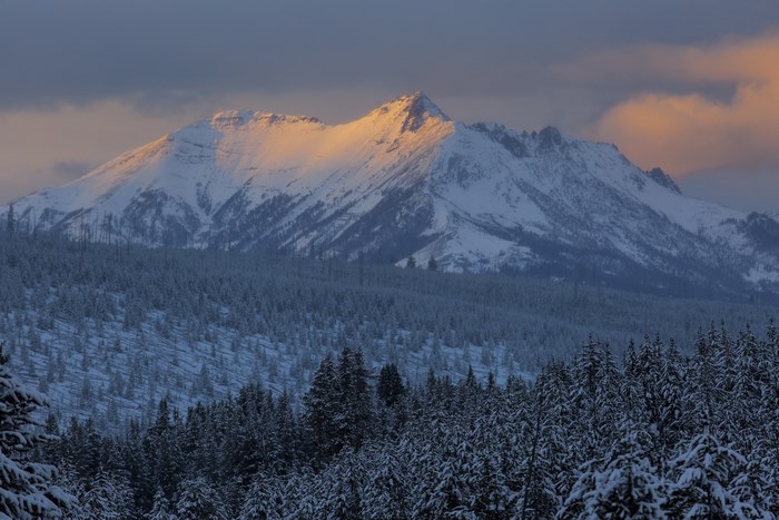 Snowy Mountains and Forest at Sunrise