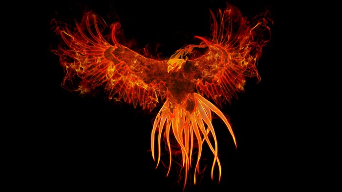 Phoenix made of fire on a black background