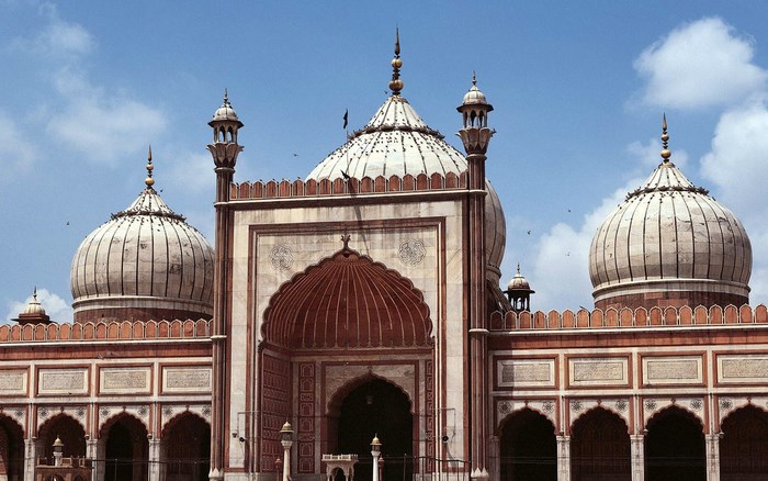 Jama Masjid Delhi domes and minarets
