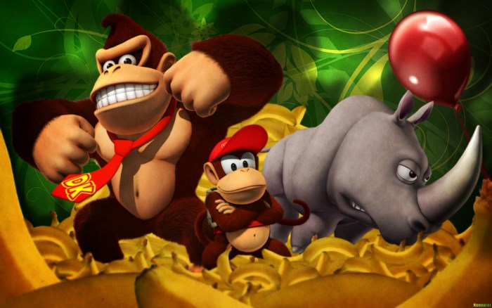 Donkey Kong Country Returns Donkey Kong and Diddy Kong