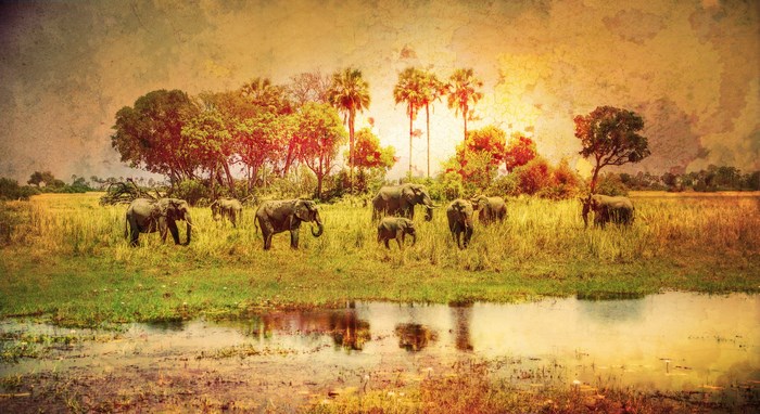 Herd of elephants in a savanna landscape