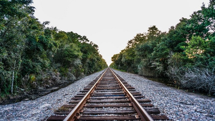 Railroad tracks through a forest