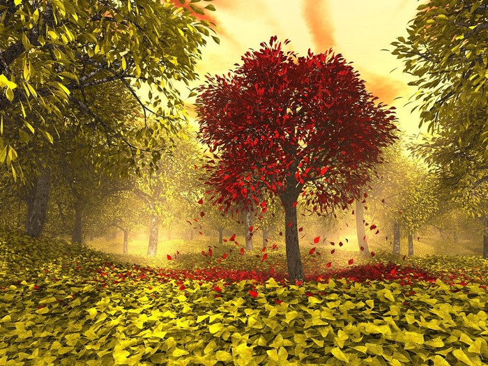 Autumn forest with red and yellow trees