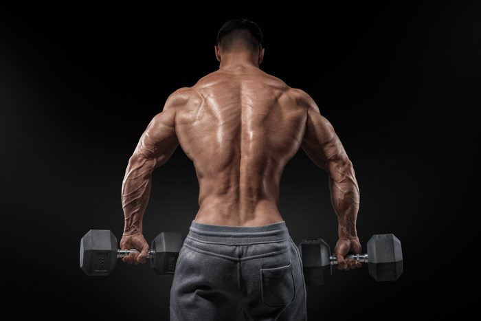 Bodybuilder holding dumbbells, back view