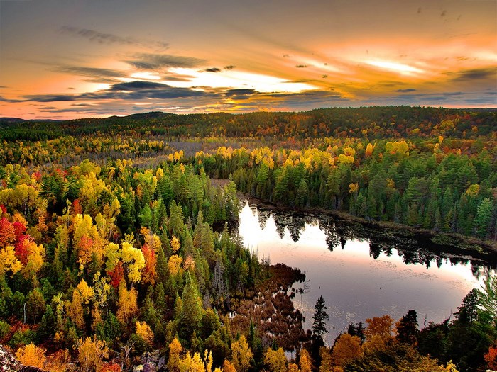 Autumn forest with lake at sunset