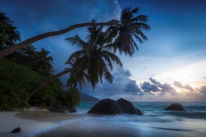 Palm trees on a beach at dusk with ocean waves
