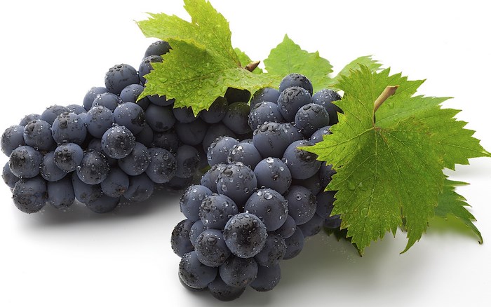 Dark grapes with water droplets and green leaves