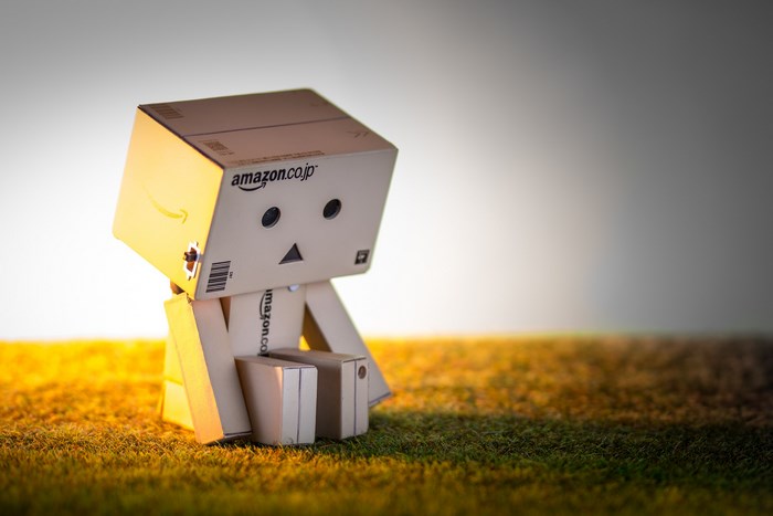 Danbo Amazon robot sitting on grass