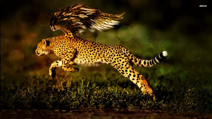 Cheetah with wings running in a forest