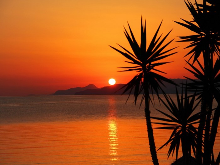 Sunset over the ocean with palm trees