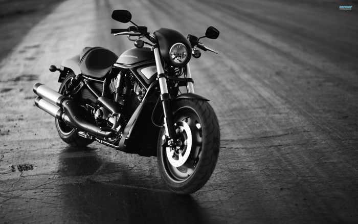 Harley Davidson Motorcycle on a Wet Road