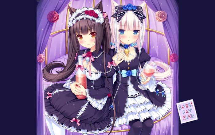 Chocola and Vanilla from Nekopara