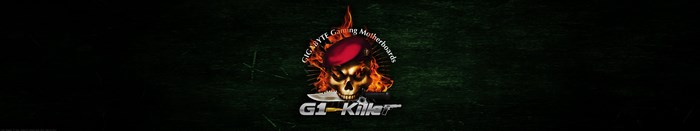 Gigabyte G1-Killer Gaming Motherboards Skull Logo
